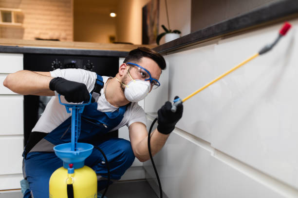 Best Pest Control Treatment  in Lake Goodwin, WA