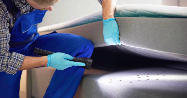 Pest Control Cost in Lake Goodwin, WA