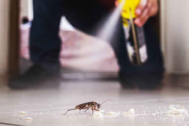 Best Pest Removal Services  in Lake Goodwin, WA